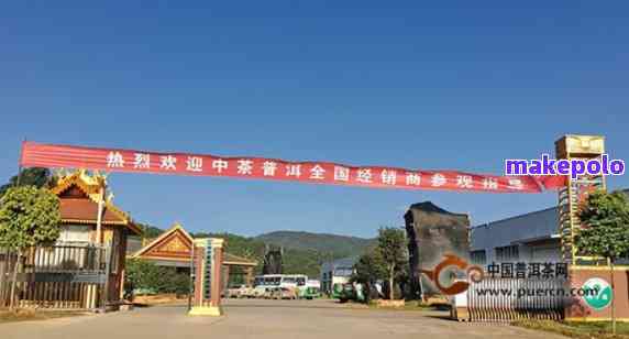 泰普洱茶厂 历史沿革、匠心传承与产品特色全方位解析