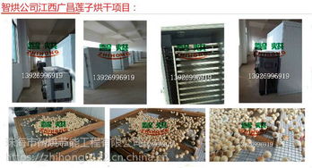 空气能热泵莲子干燥机 智烘护航，解锁莲子与茶叶高品质干燥新境界