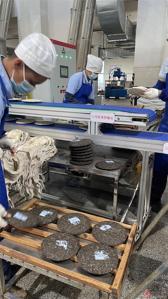 大益转型二十年 以三茶融合为笔，绘就全产业链新画卷